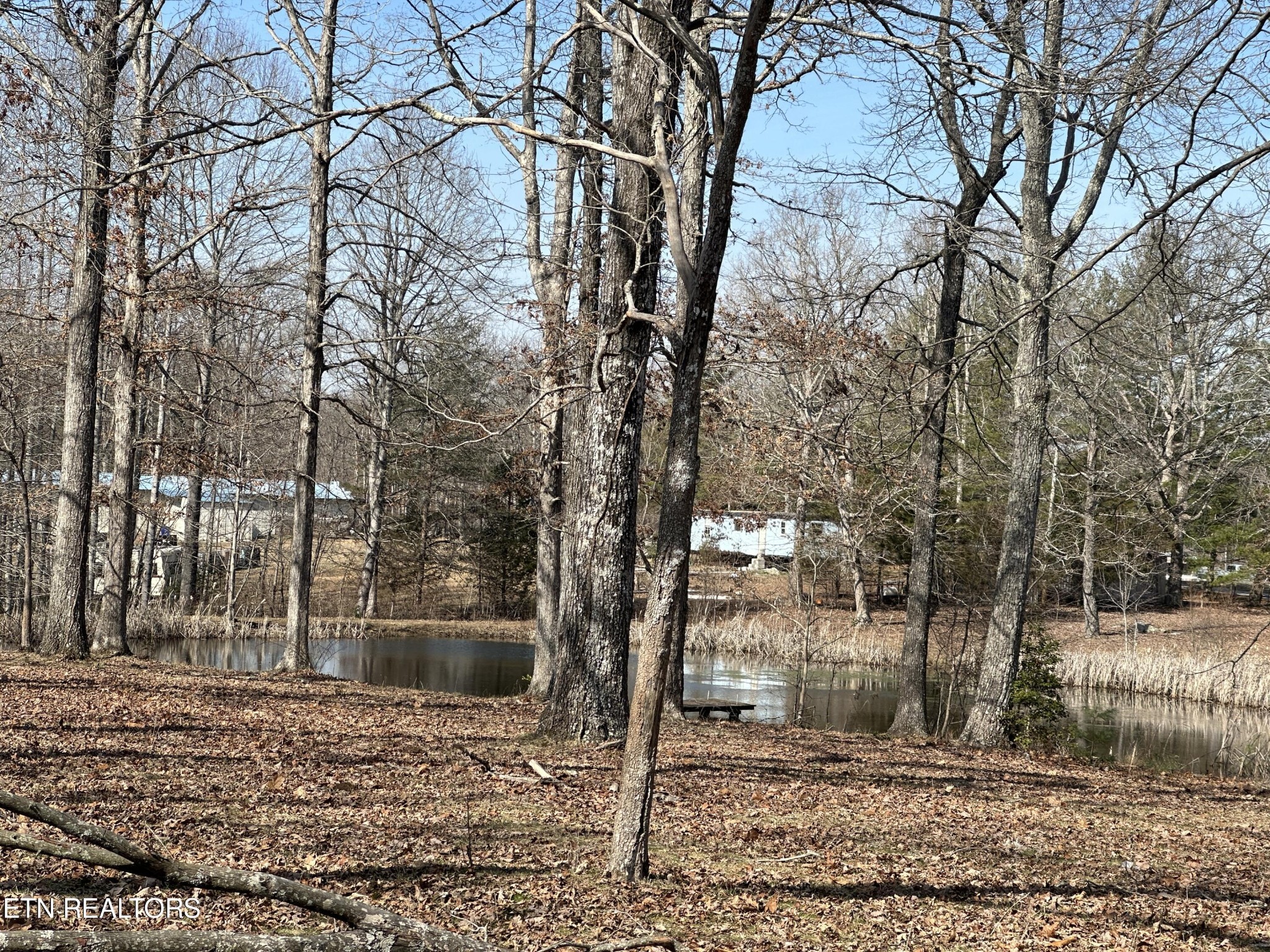 25 Rachel Road Crossville, TN 38572 - Photo 18 of 25 Gallery Image 18