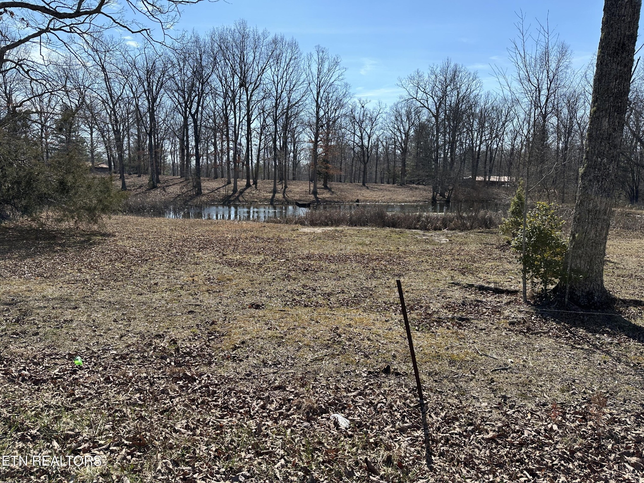 25 Rachel Road Crossville, TN 38572 - Photo 19 of 25 Gallery Image 19