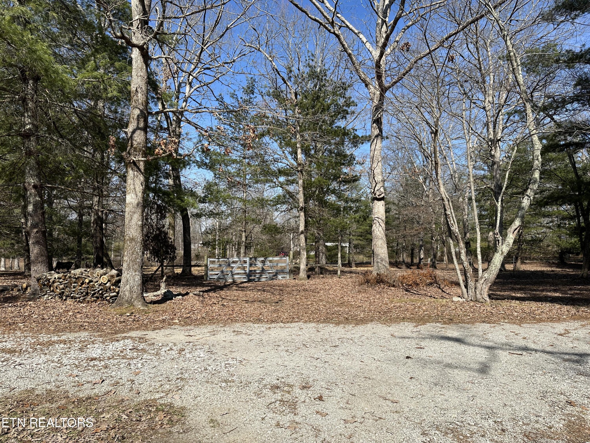25 Rachel Road Crossville, TN 38572 - Photo 25 of 25 Gallery Image 25