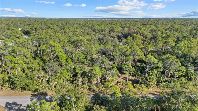a view of a yard with an outdoor space