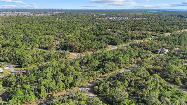 a view of a city with lush green forest