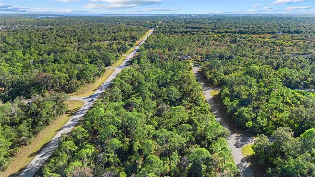 an aerial view of forest