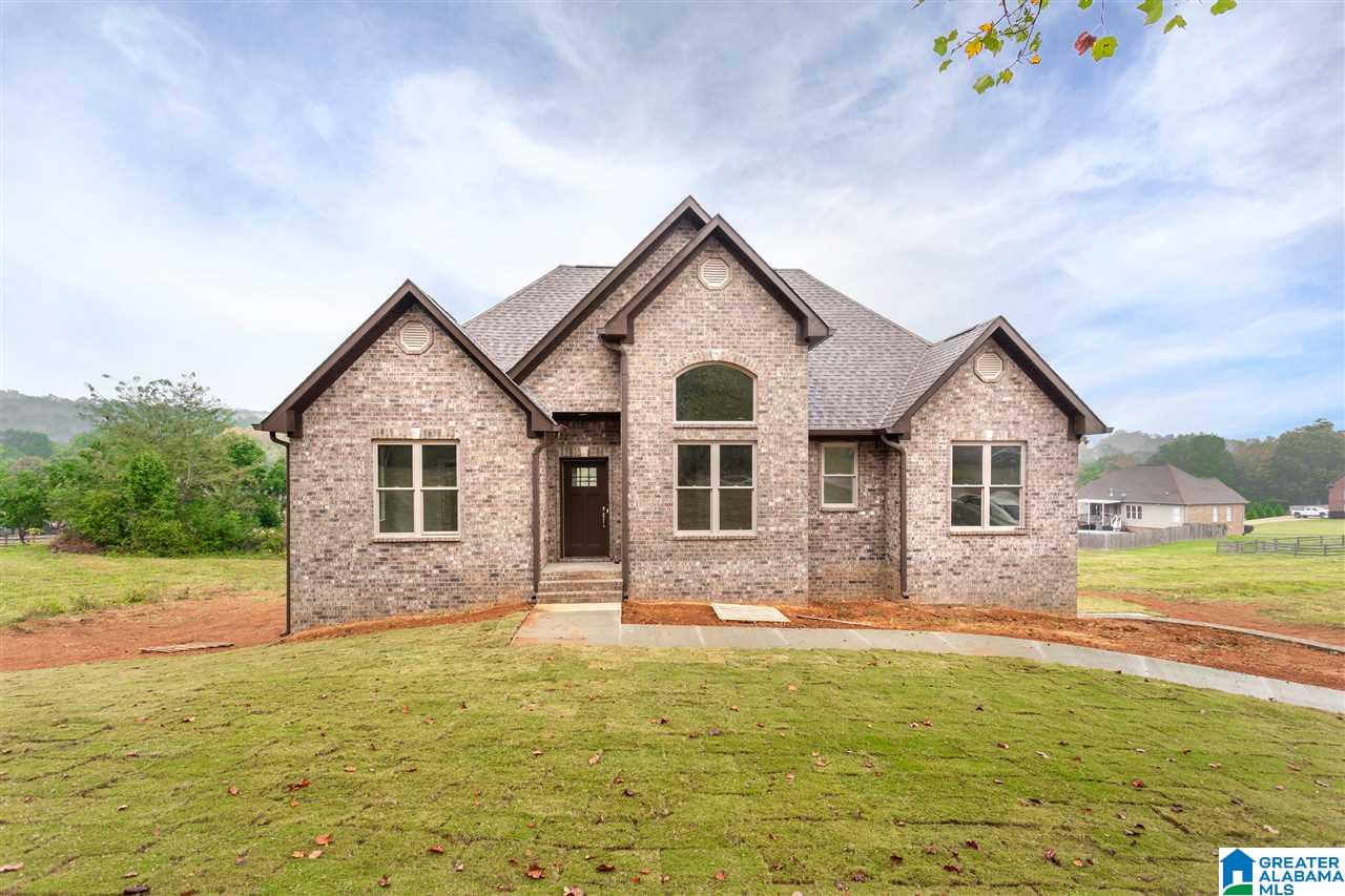 1650 Village Springs Road Springville, AL 35146 - Photo 1 of 38