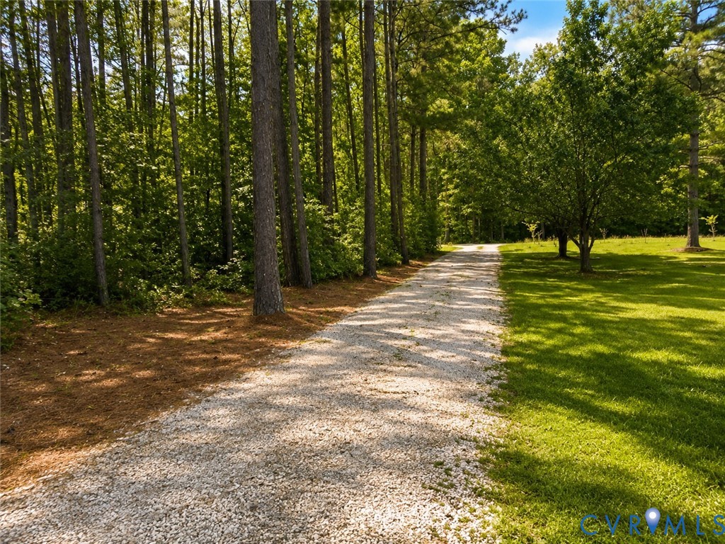 14175 Lebanon Road Disputanta, VA 23842 - Photo 49 of 60 Trees alongside the driveway for privacy