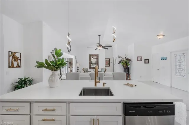 a sink with a potted plant
