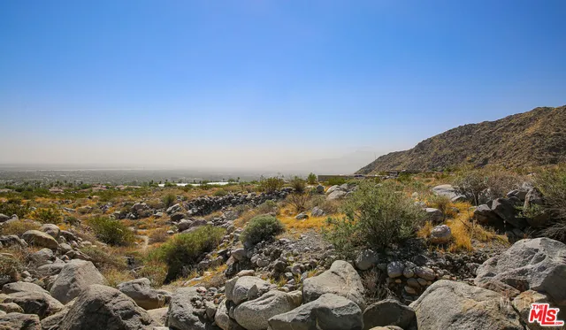 a view of a large tree with mountains in the background