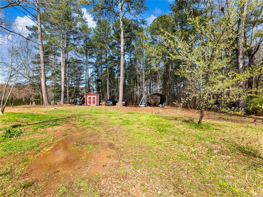 1686 Shoal Creek Road Monroe, GA 30656 - Photo 38 of 50 a view of a yard with a tree