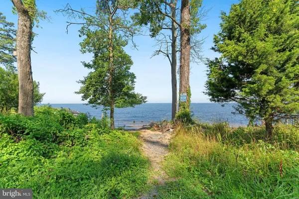 a view of a street with a tree