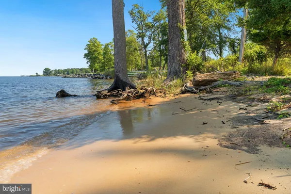 a view of a backyard of a house