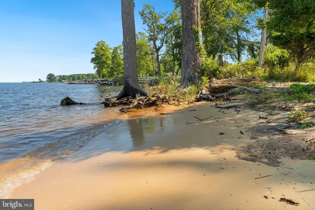 a view of a backyard of a house