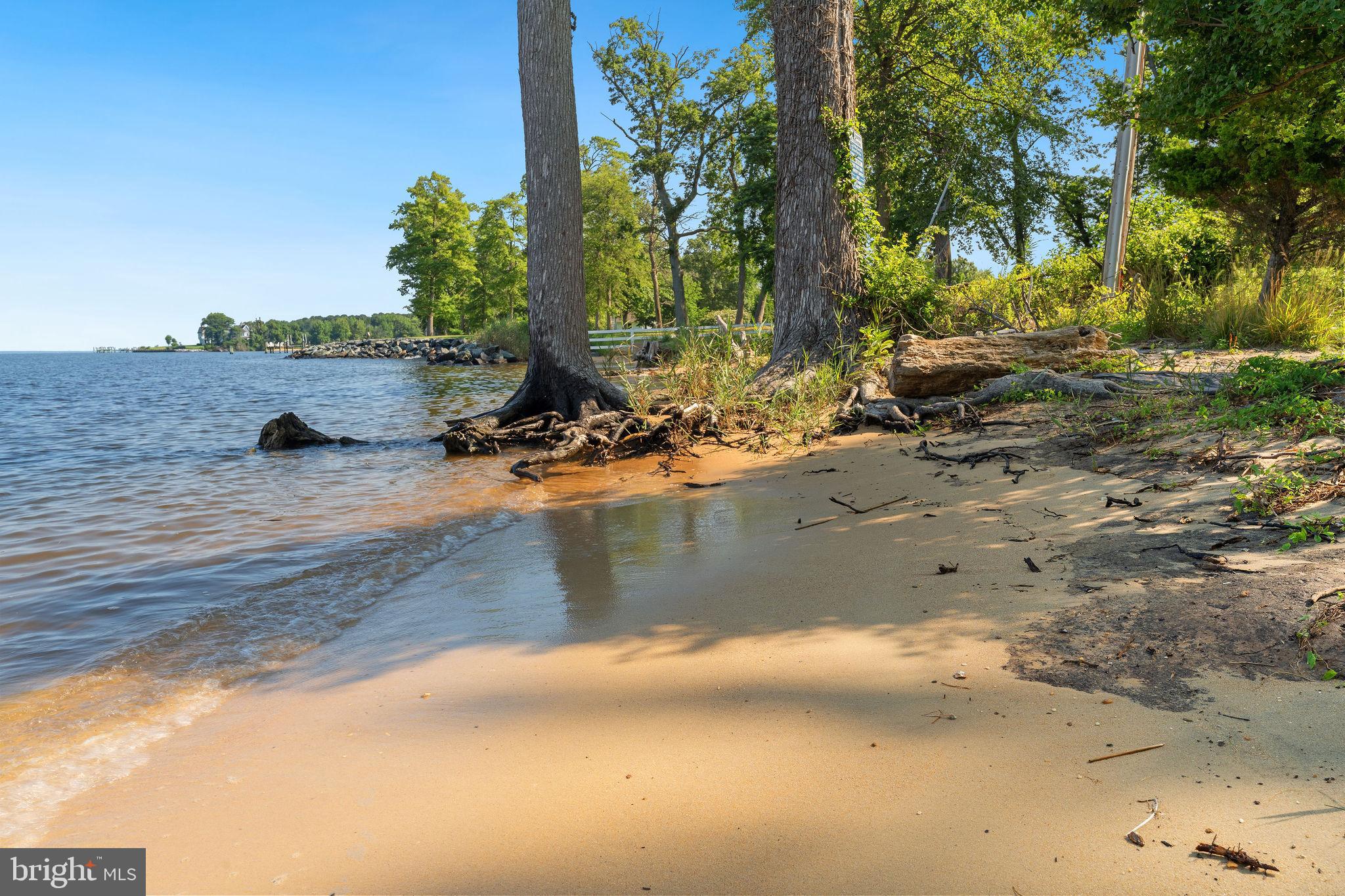 116 Kent Point Road Stevensville, MD 21666 - Photo 5 of 32 a view of a backyard of a house