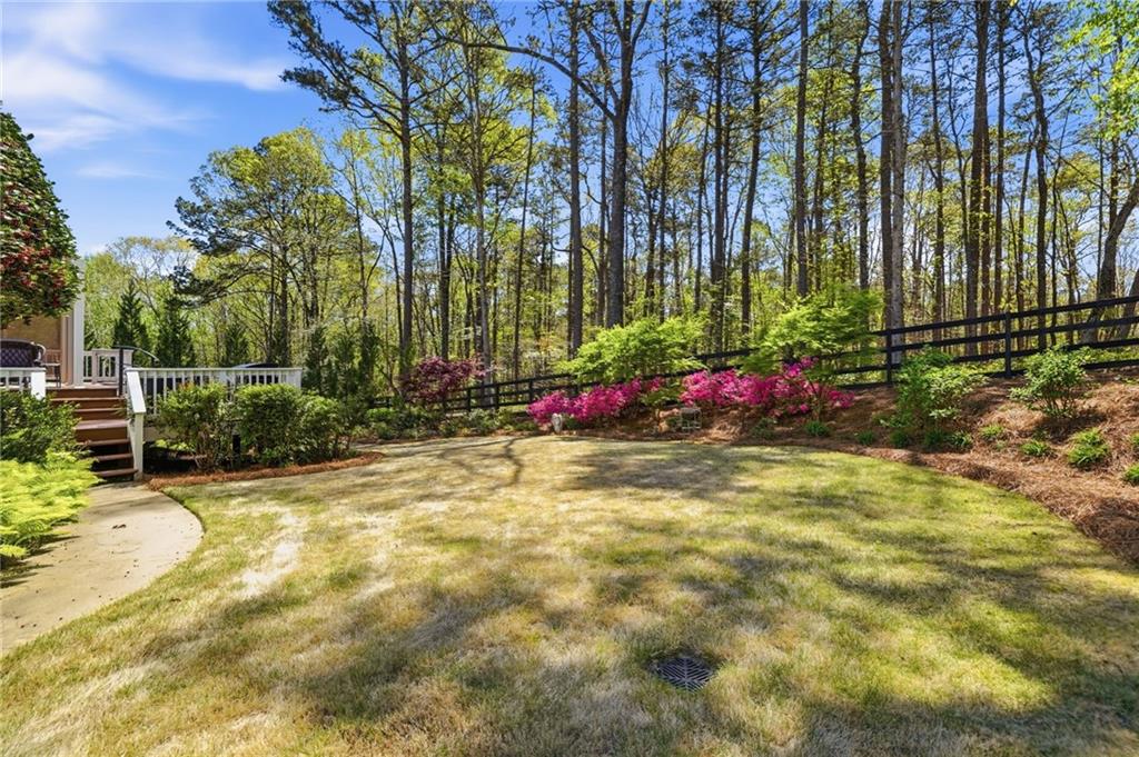 4147 Gold Mill Ridge Canton, GA 30114 - Photo 62 of 93