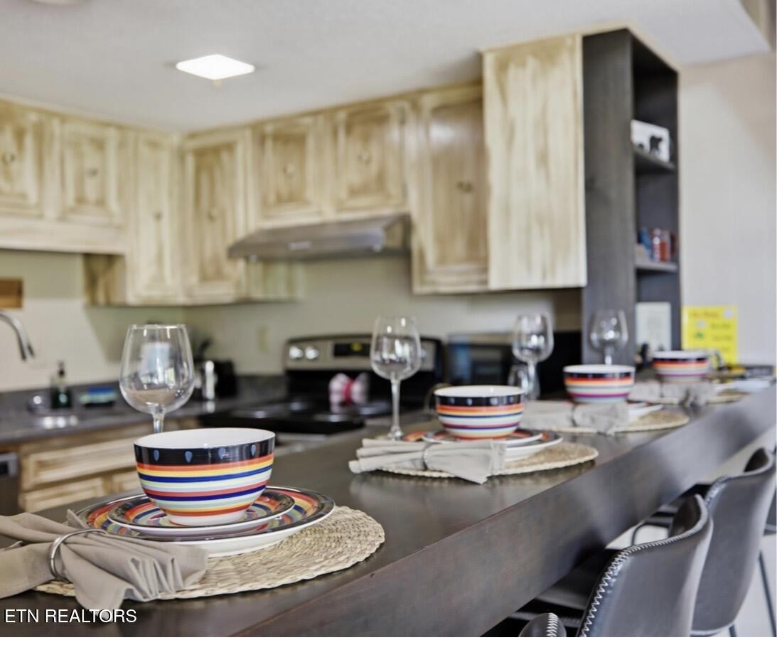 1081 Cove Road, Unit 534 Sevierville, TN 37876 - Photo 6 of 20 Gallery Image 6
