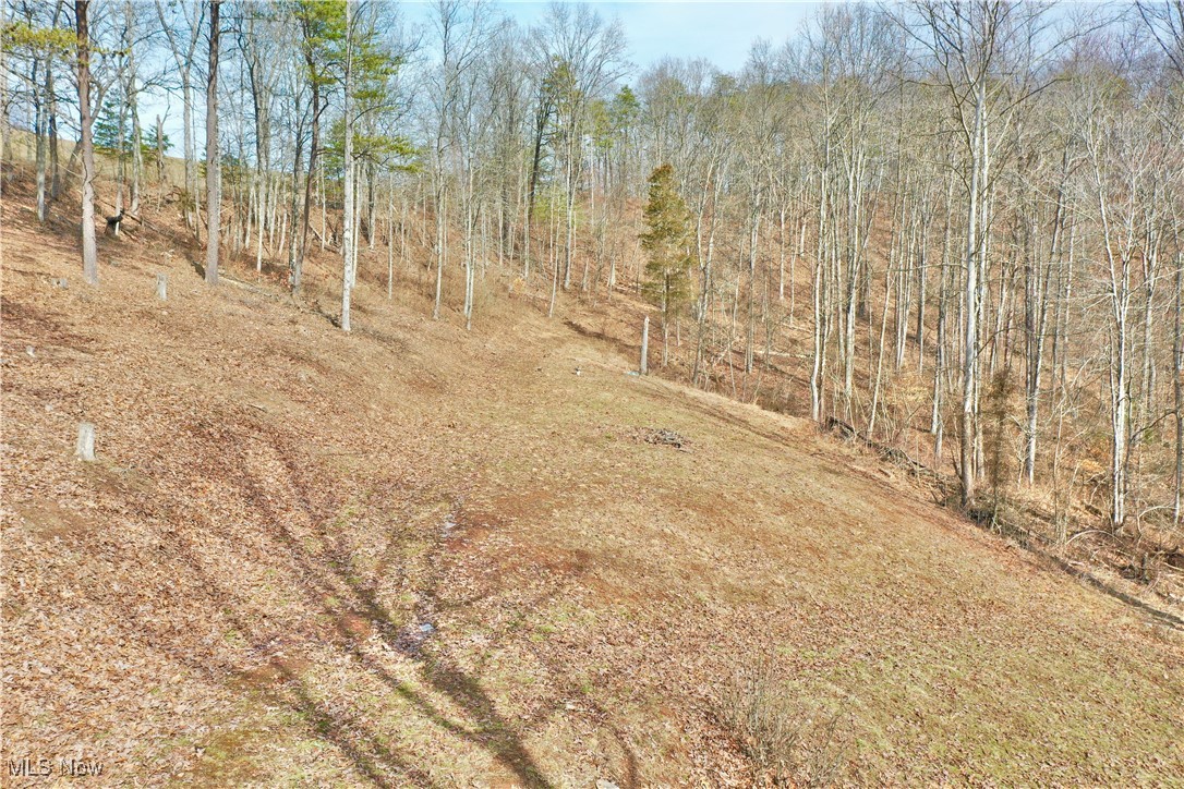 244 Hartley Rdg Road Macfarlan, WV 26148 - Photo 47 of 49