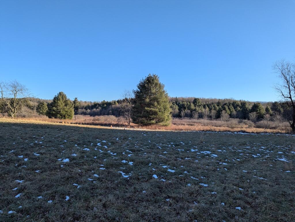 Tbd Firehouse Road Northwest Willis, VA 24380 - Photo 13 of 23 a view of a yard