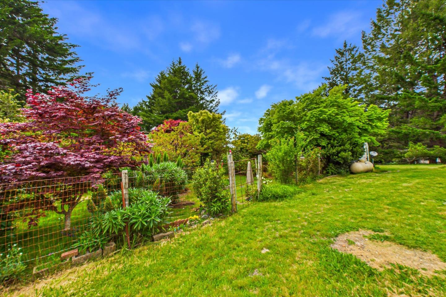 520 Redwood Road Whitethorn, CA 95589 - Photo 48 of 69 a backyard of a house with lots of green space