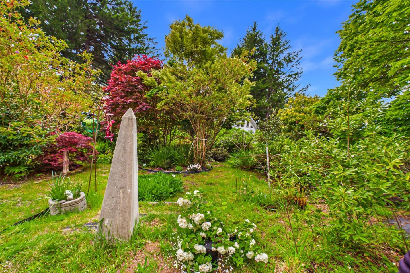 520 Redwood Road Whitethorn, CA 95589 - Photo 50 of 69 a view of a garden with a tree