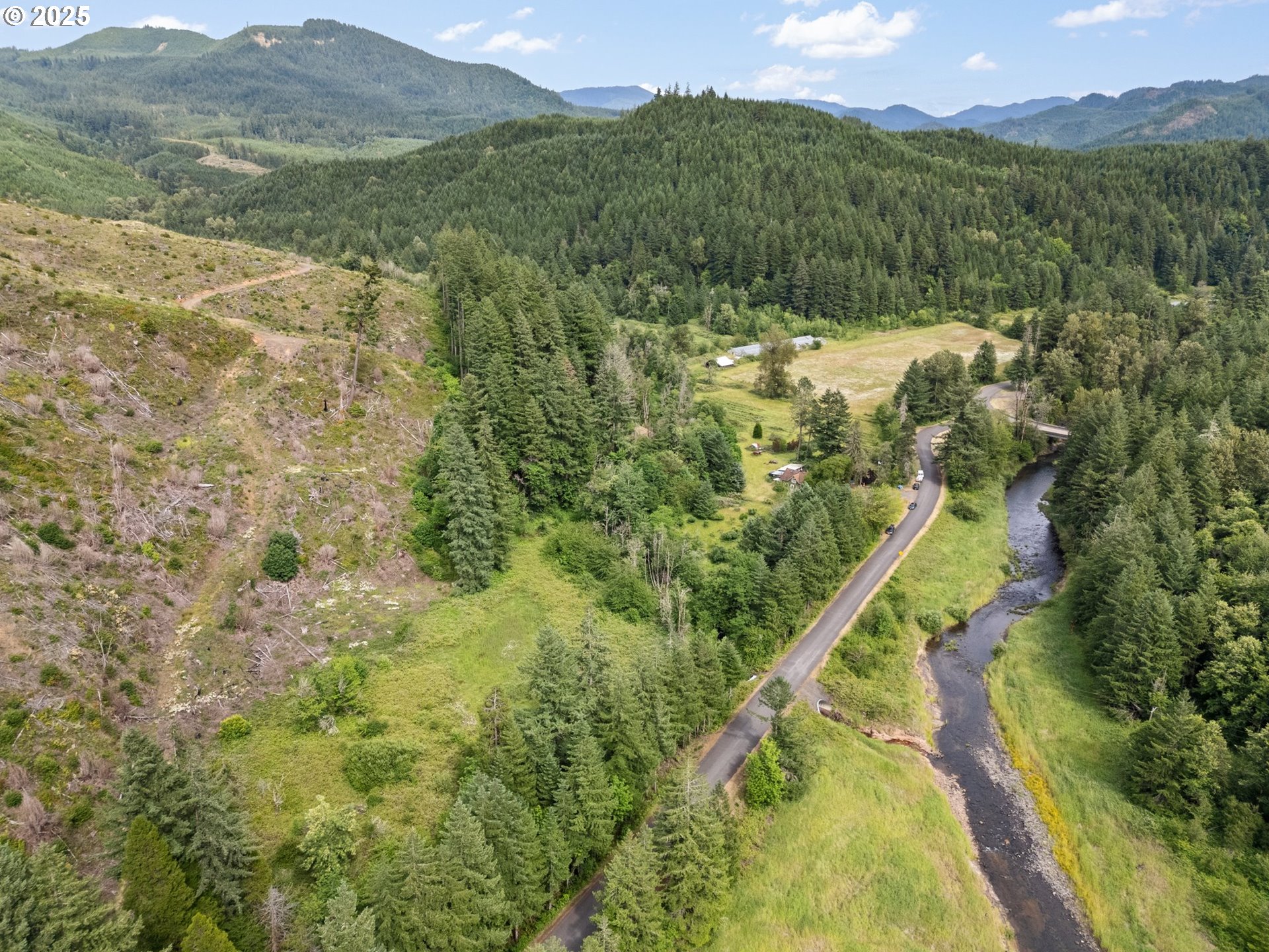 83015 Peninsula Road Fall Creek, OR 97438 - Photo 25 of 40 a view of a lush green field with mountains in the background