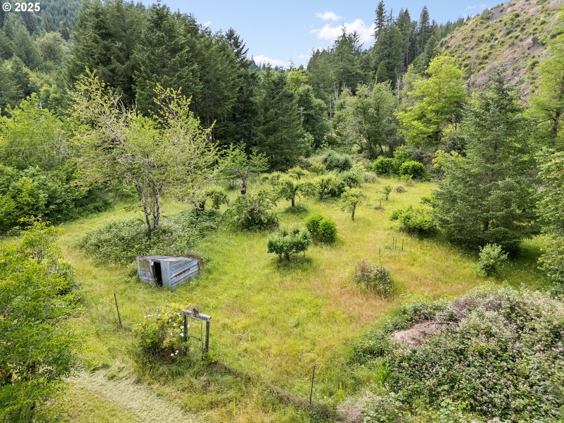 83015 Peninsula Road Fall Creek, OR 97438 - Photo 28 of 40 a view of yard with green space