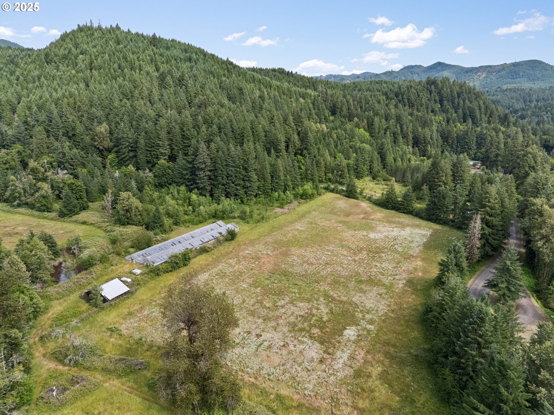83015 Peninsula Road Fall Creek, OR 97438 - Photo 29 of 40 a view of a yard