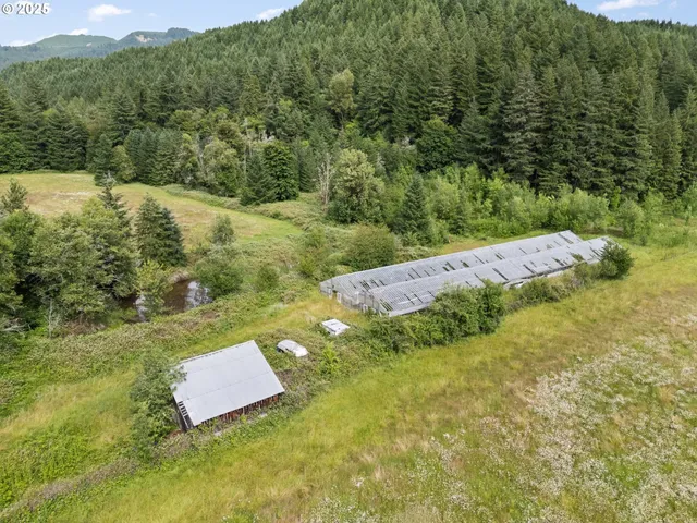 a view of a yard with mountain
