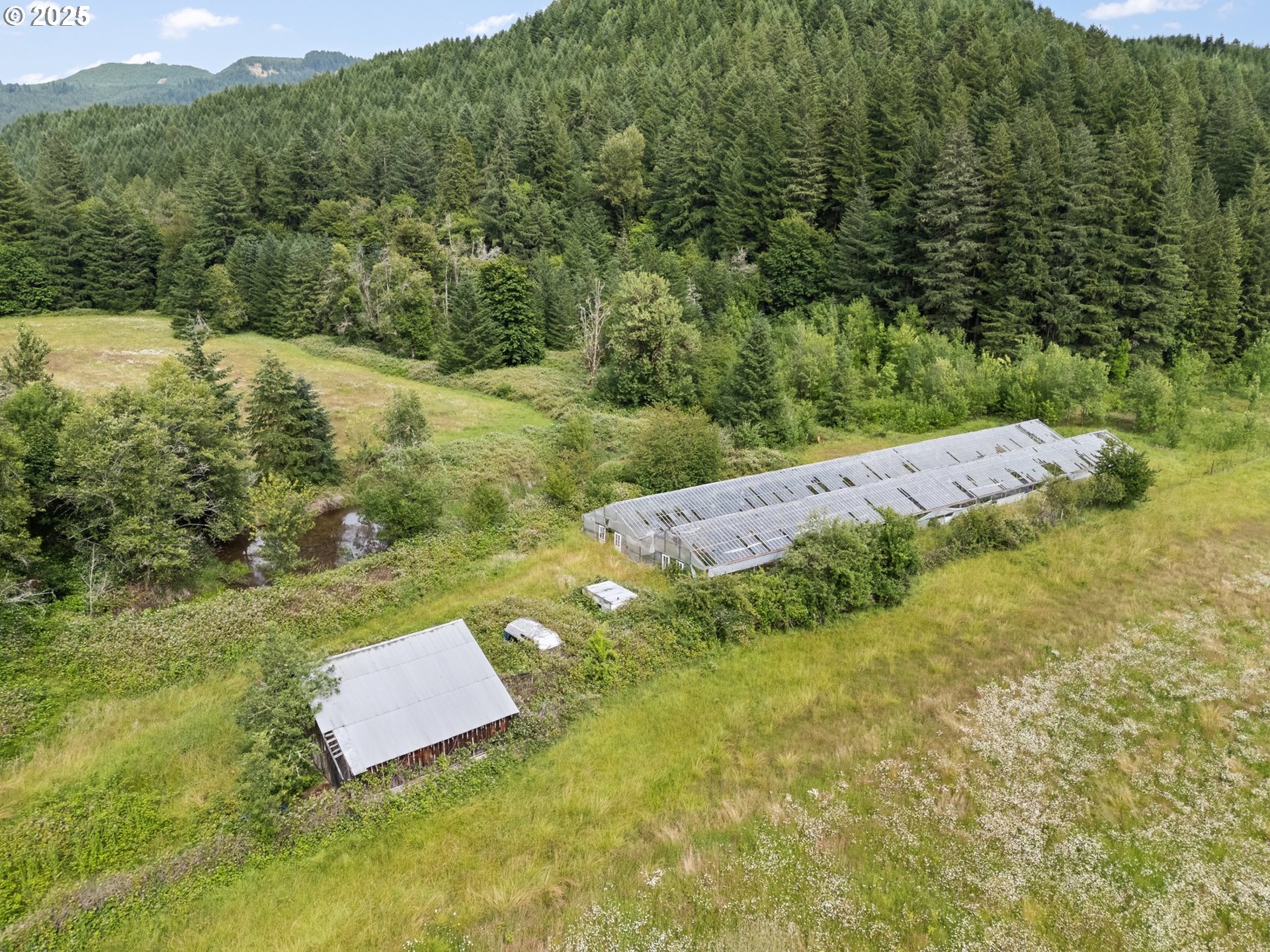 83015 Peninsula Road Fall Creek, OR 97438 - Photo 30 of 40 a view of a yard with mountain