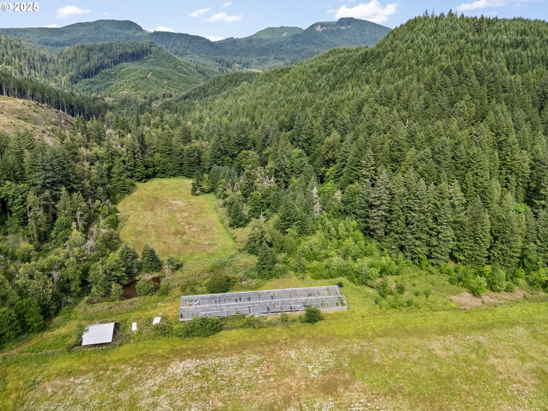 83015 Peninsula Road Fall Creek, OR 97438 - Photo 31 of 40 a view of a grassy area with an trees