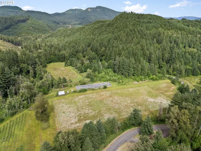 a view of a lush green hillside and a houses