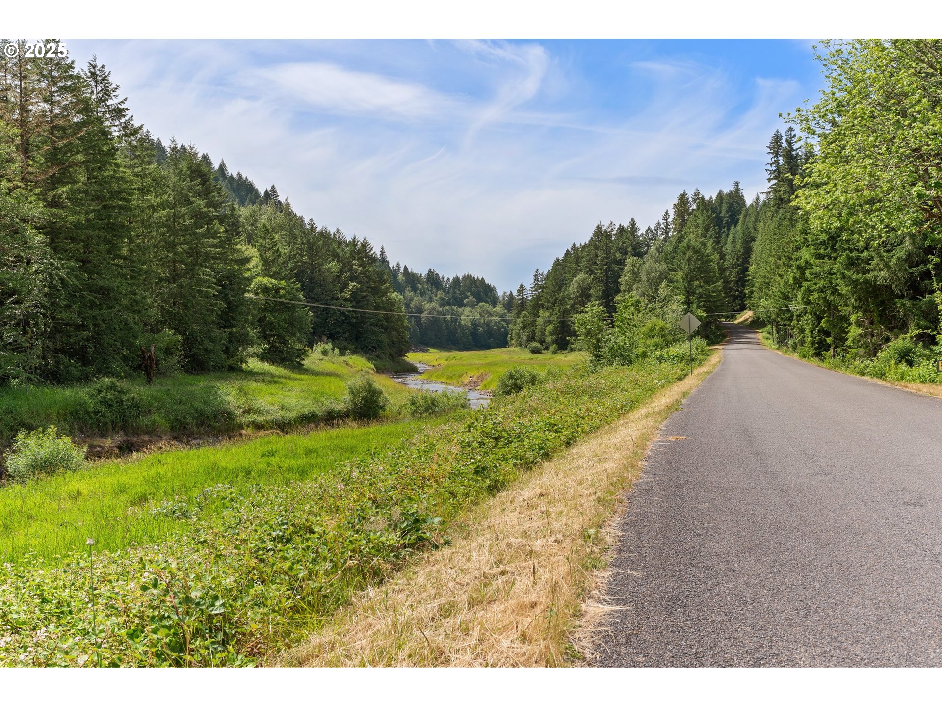 83015 Peninsula Road Fall Creek, OR 97438 - Photo 34 of 40 a view of a yard with an trees