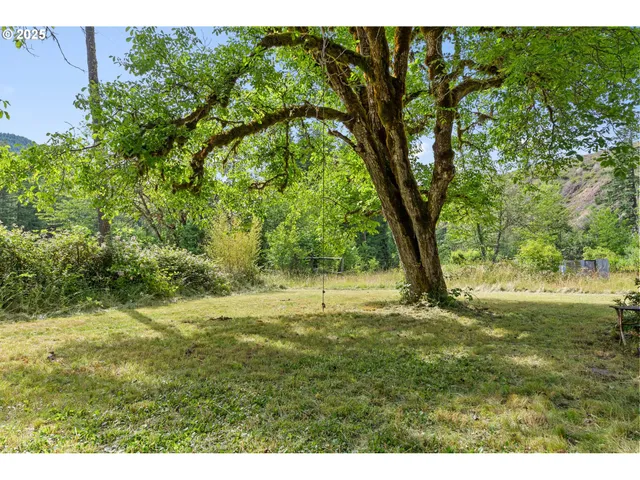 a backyard of a house with a yard and large trees