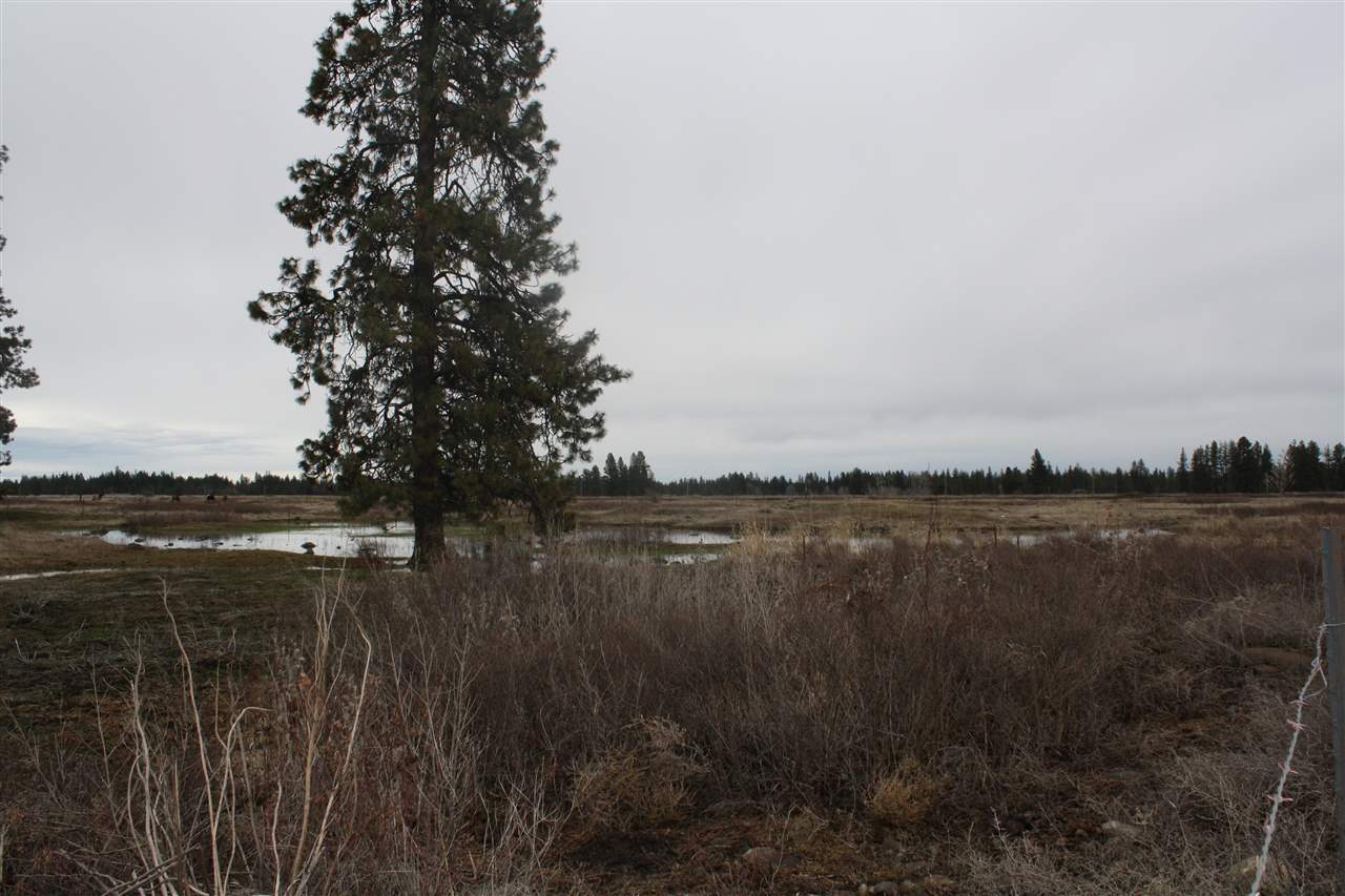 17909 West Lance Hill Road Cheney, WA 99004 - Photo 14 of 18 Gallery Image 14