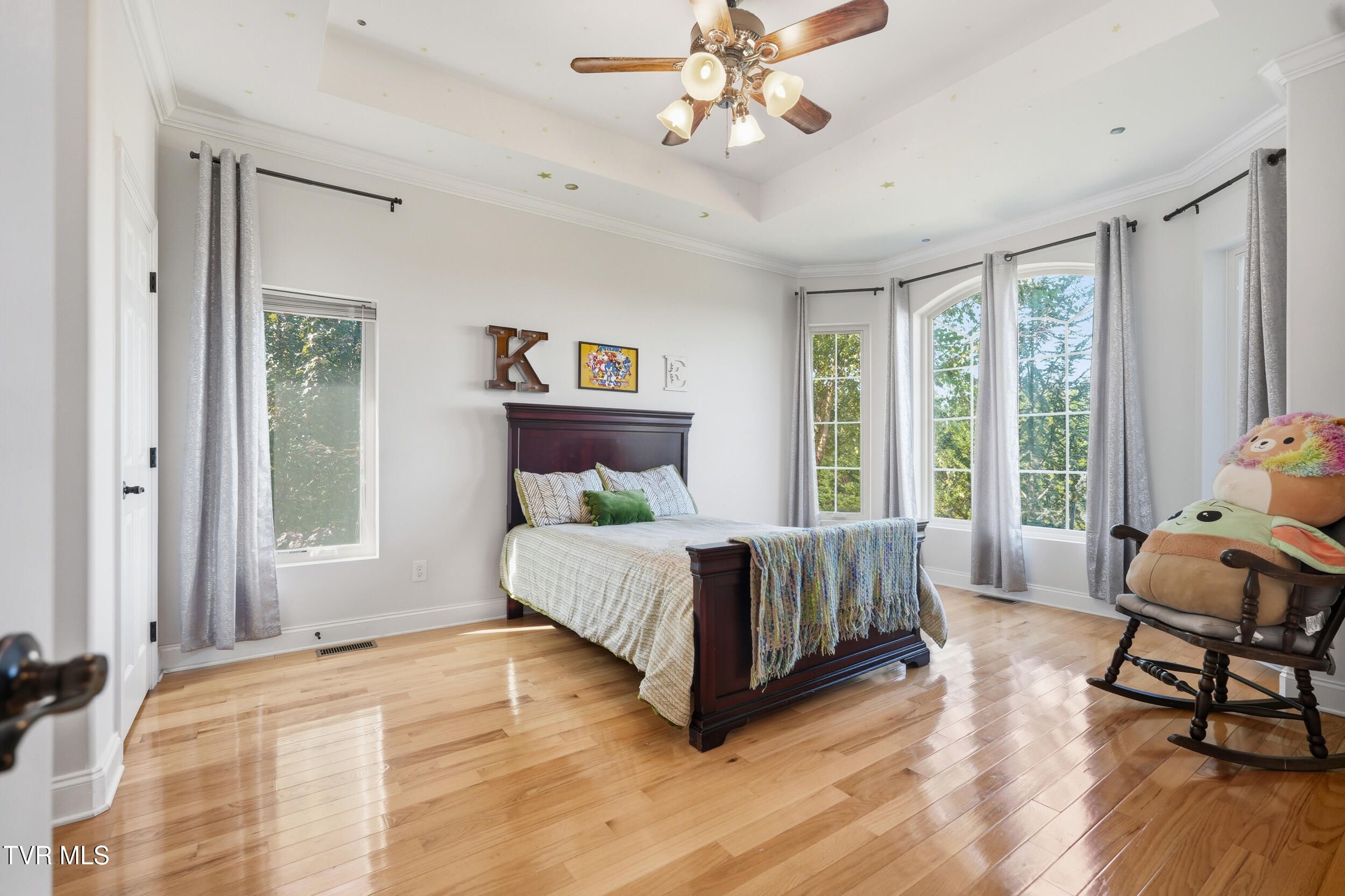 534 Buckingham Road Gray, TN 37615 - Photo 33 of 75 Front Bedroom