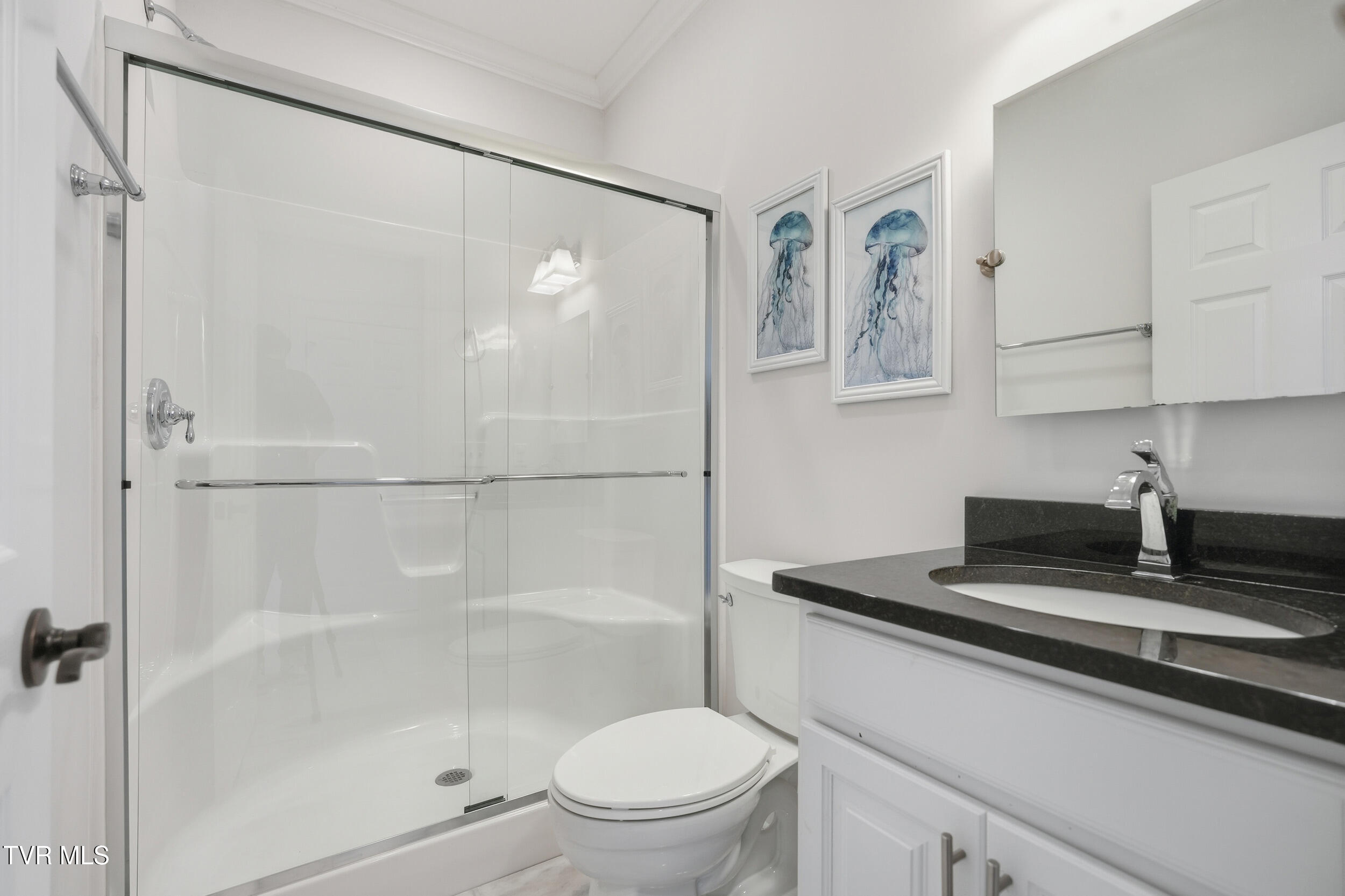 534 Buckingham Road Gray, TN 37615 - Photo 35 of 75 Front Bath