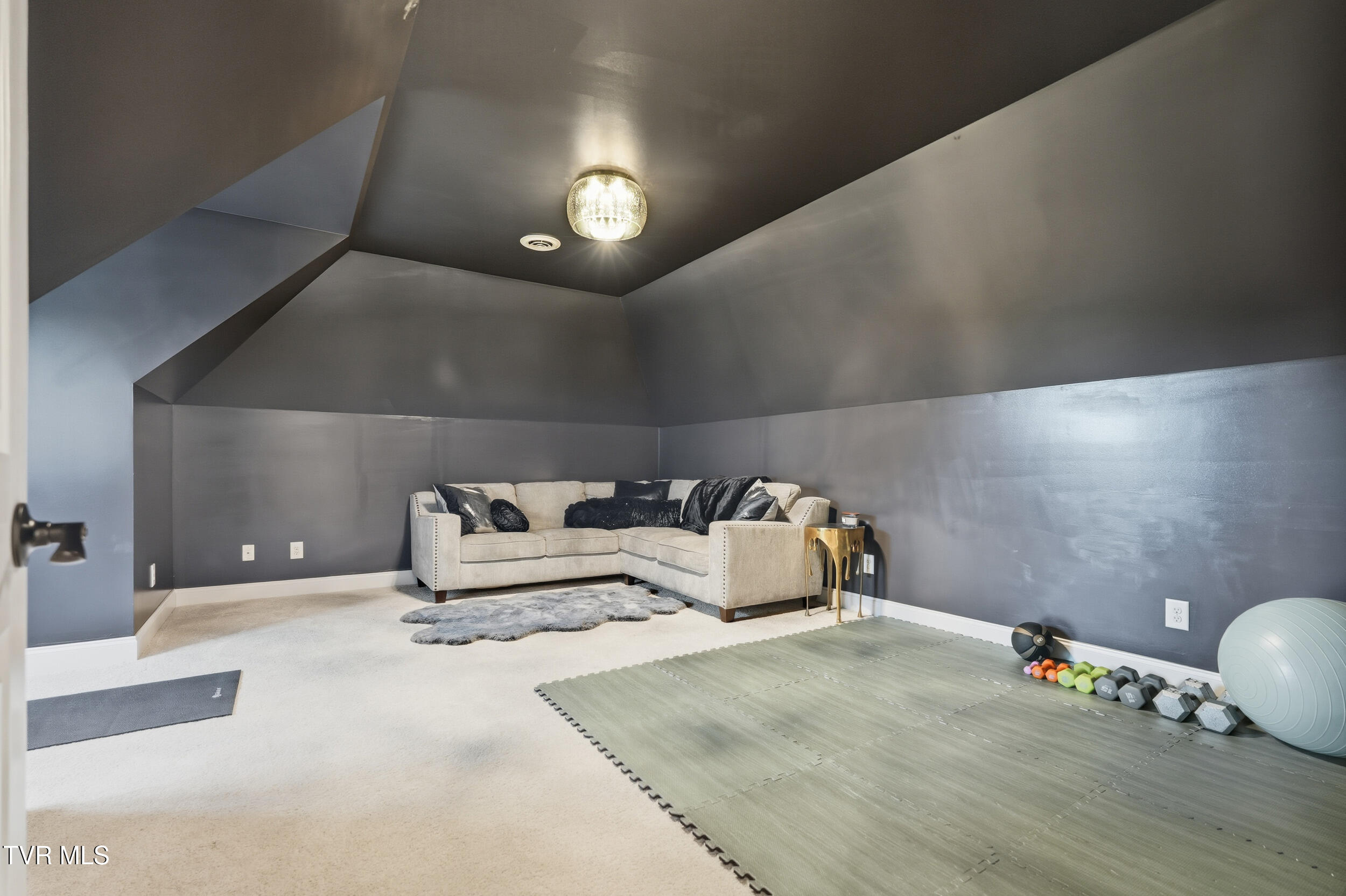 534 Buckingham Road Gray, TN 37615 - Photo 48 of 75 Flex