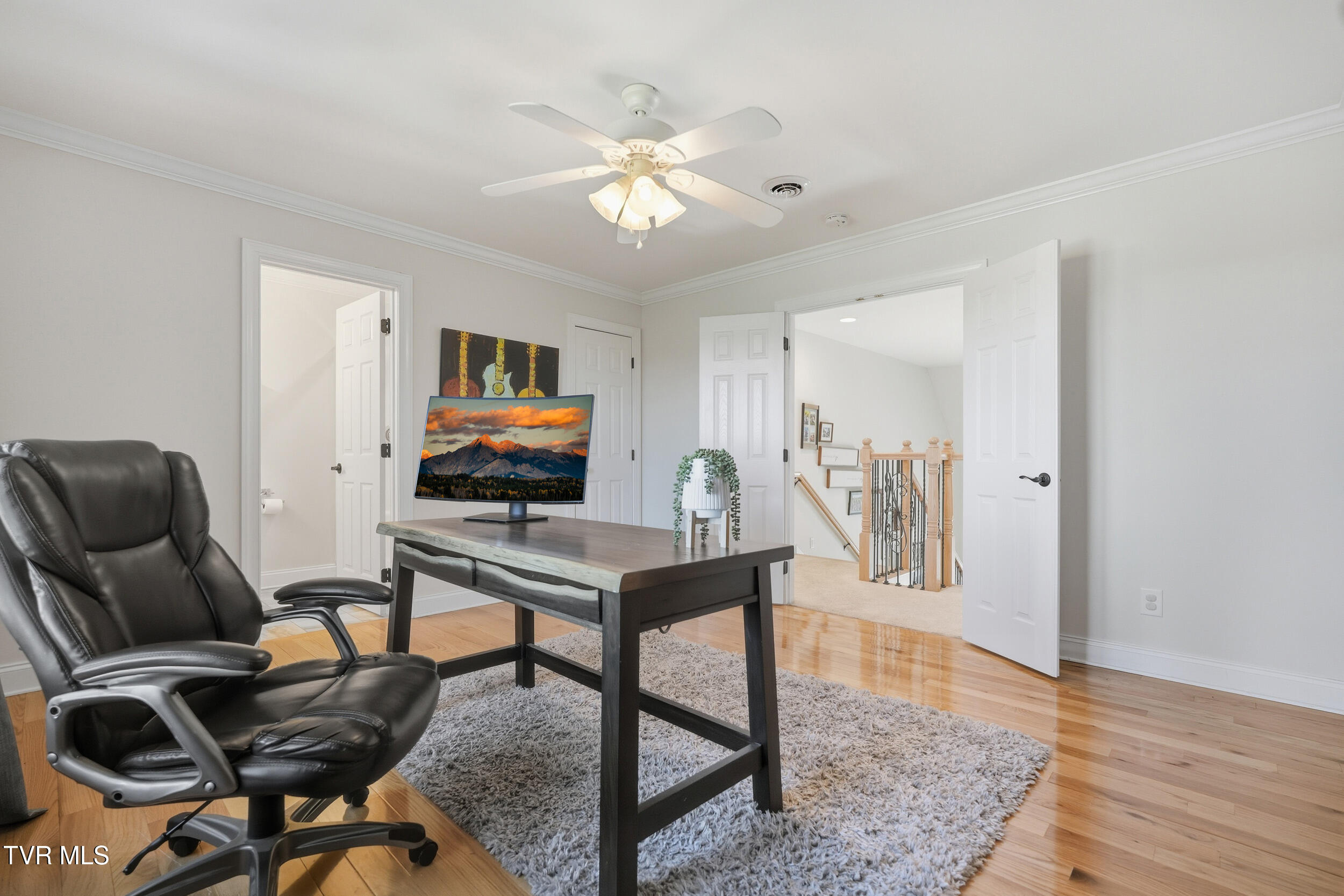 534 Buckingham Road Gray, TN 37615 - Photo 52 of 75 Bedroom 4 / Office