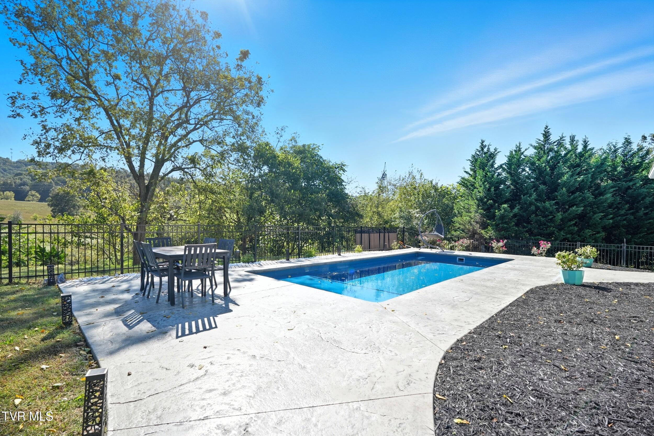 534 Buckingham Road Gray, TN 37615 - Photo 61 of 75 Pool