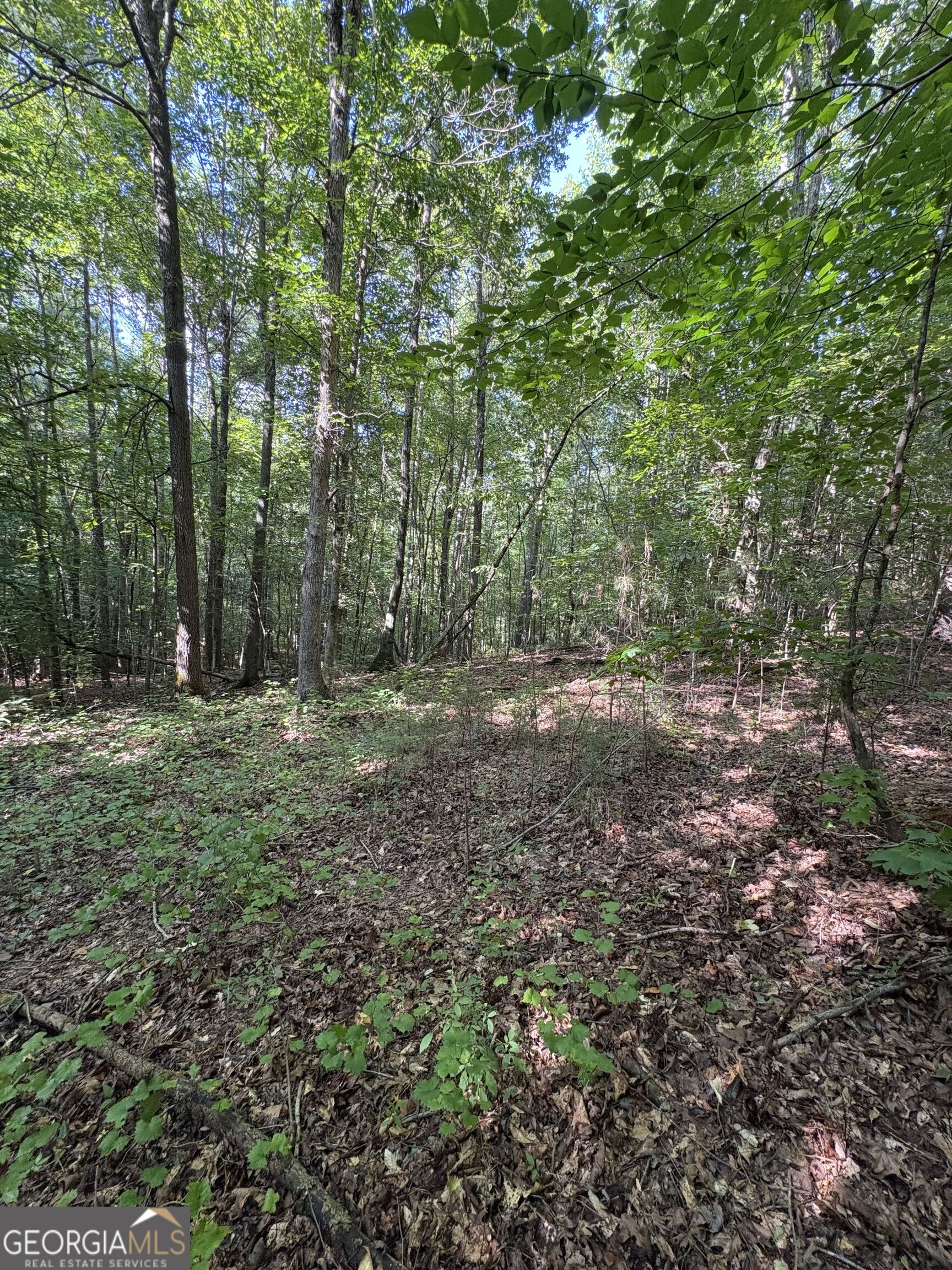 1208 Hornets Bridge Road Elberton, GA 30635 - Photo 22 of 23 Gallery Image 22