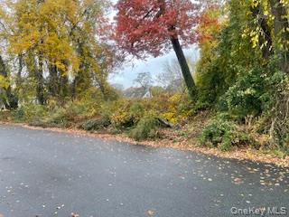 a view of a forest with trees