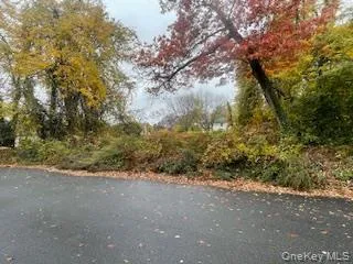 a view of a yard with a tree