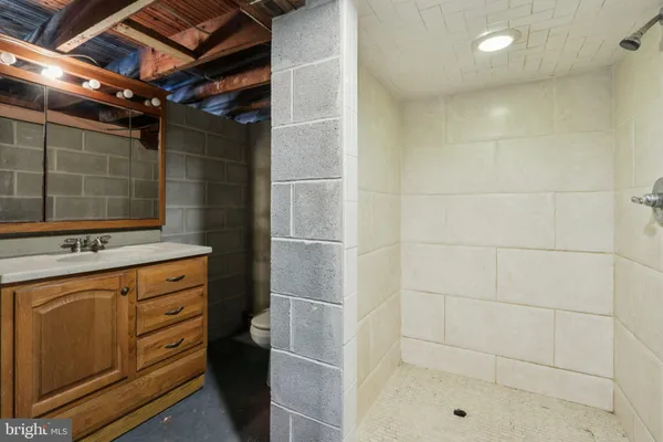 a bathroom with a shower and a sink