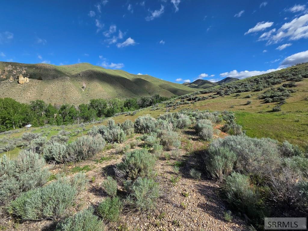Nkn East Tower Creek Road Carmen, ID 83462 - Photo 40 of 63