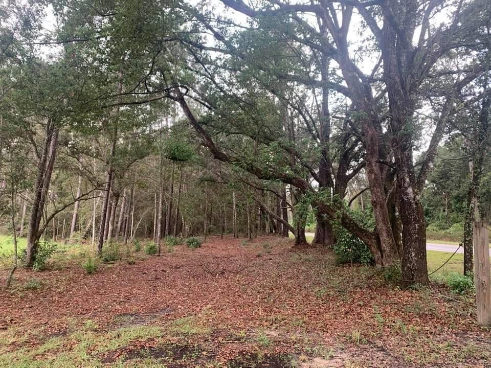 26348 Feely Road Elberta, AL 36530 - Photo 14 of 43