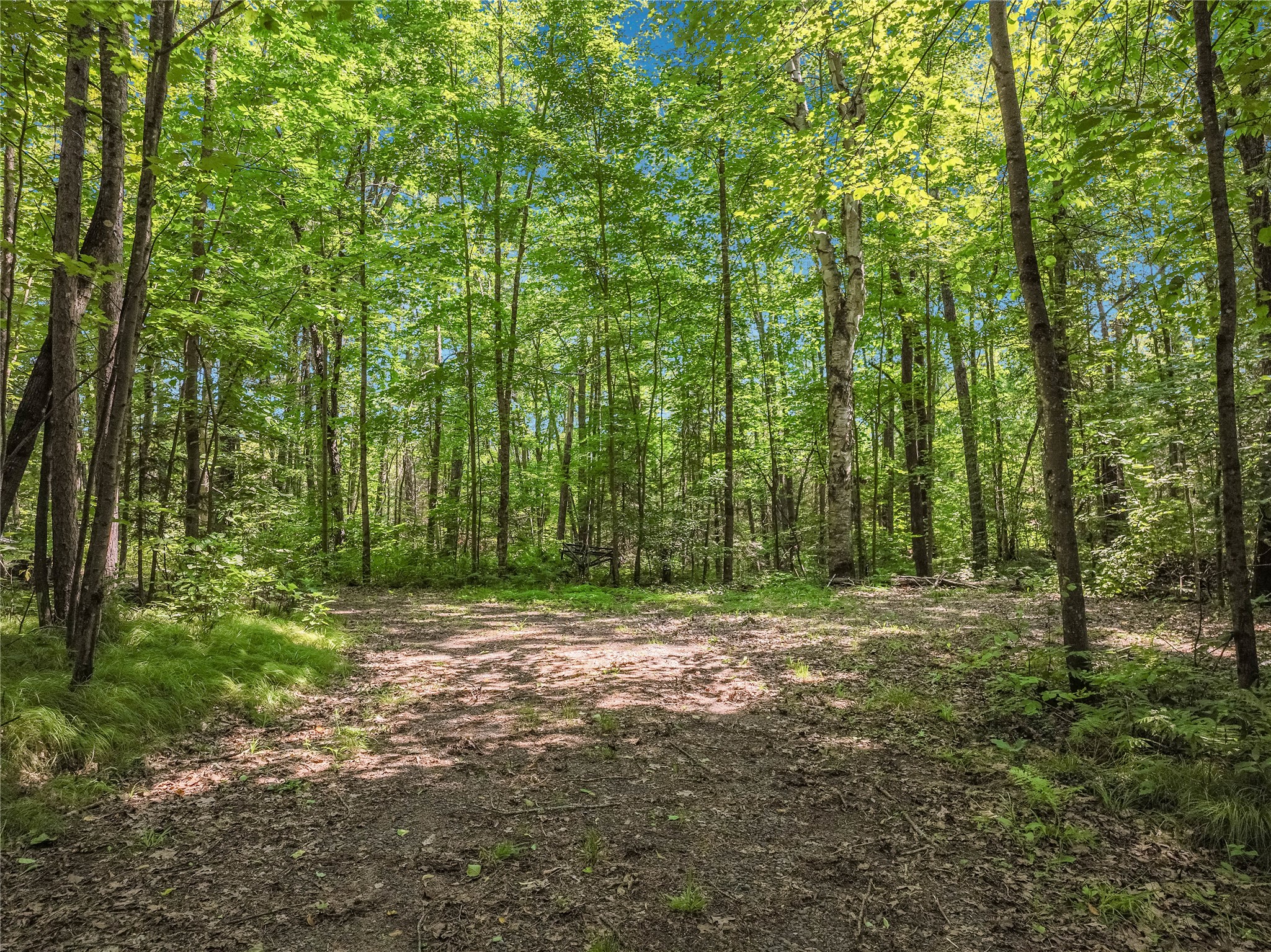 0 Castaway Lane Hayward, WI 54843 - Photo 35 of 36