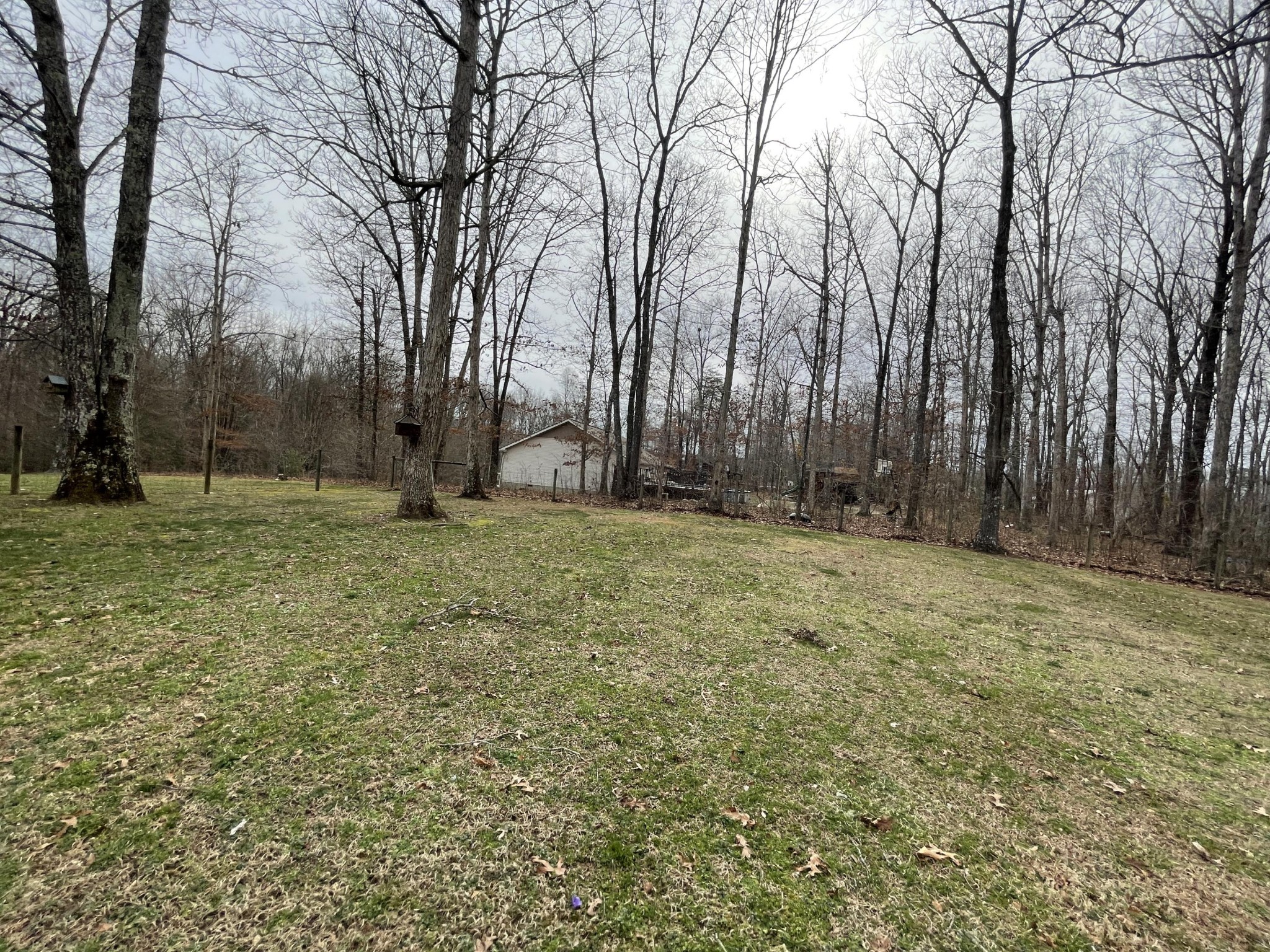 140 James George Road Jamestown, TN 38556 - Photo 5 of 38 Gallery Image 5