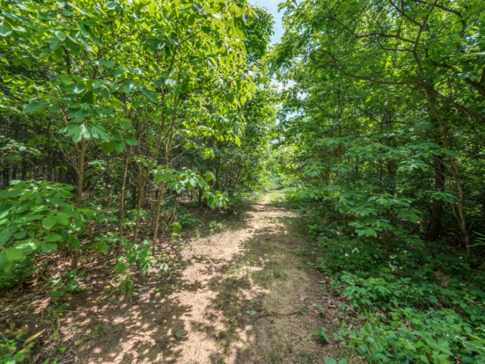 9970 Grape Ridge Kalamazoo, MI 49009 - Photo 40 of 42 P1122214b