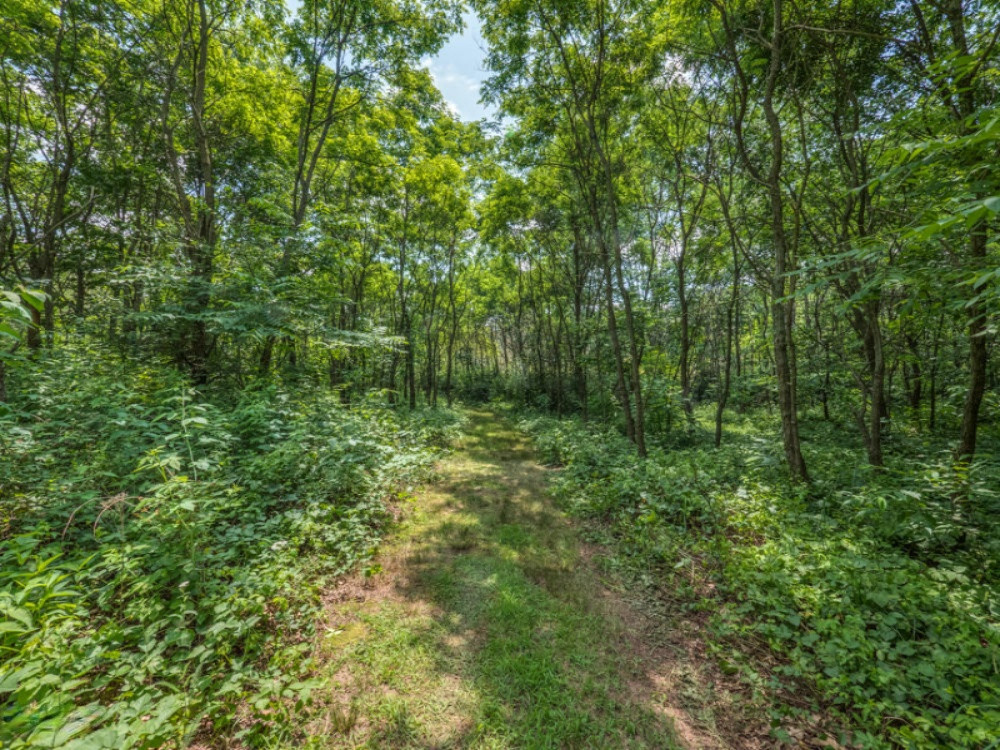 9970 Grape Ridge Kalamazoo, MI 49009 - Photo 41 of 42 P1122224b