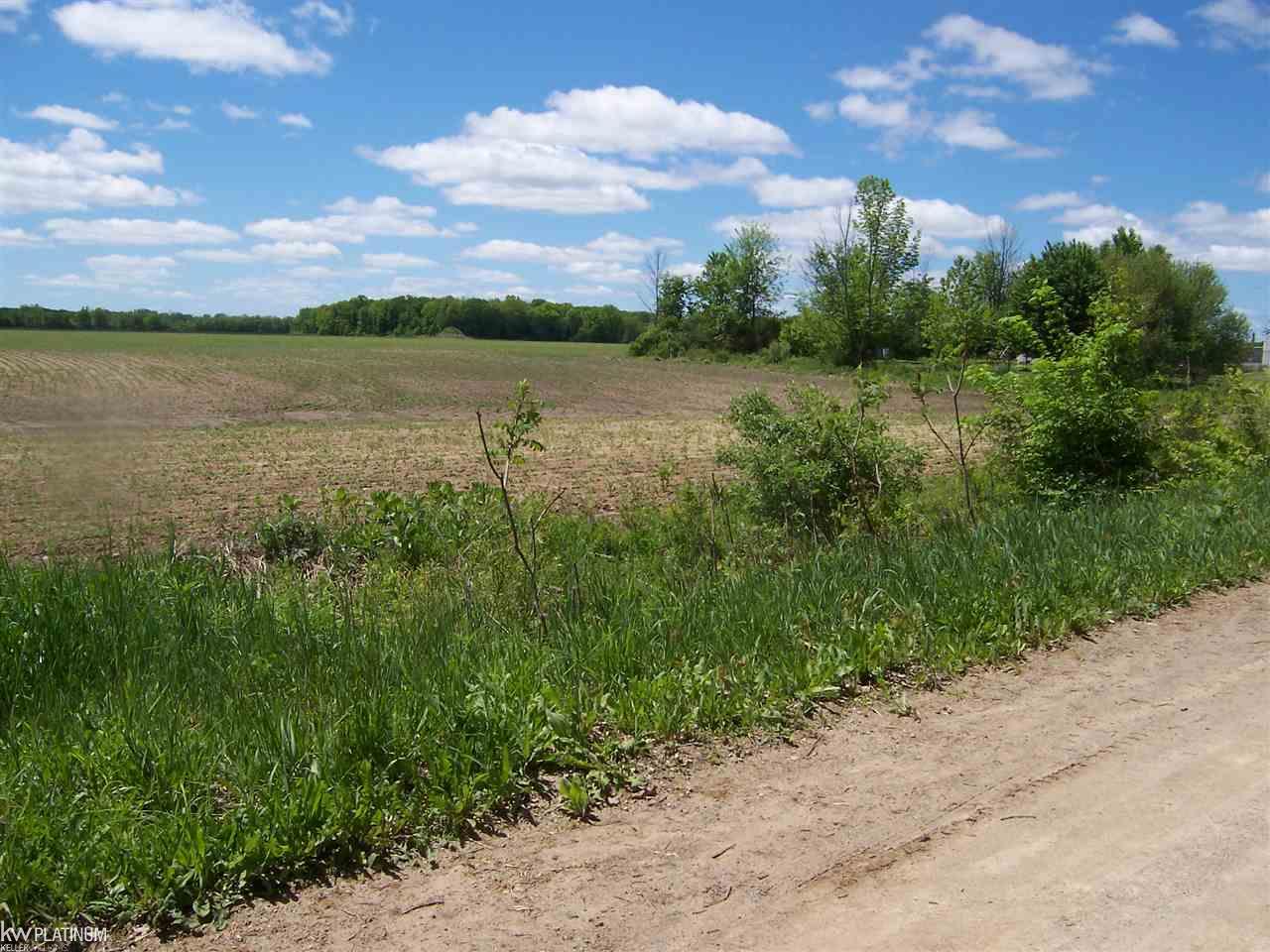 Lot C Lot C Lashbrook Road Goodells, MI 48027 - Photo 2 of 2