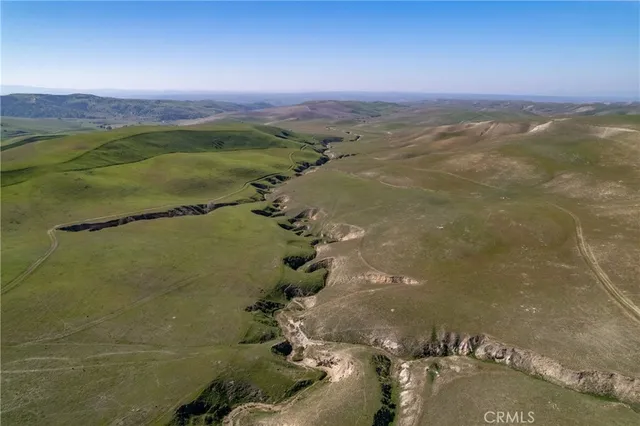 a view of a yard in front of a house