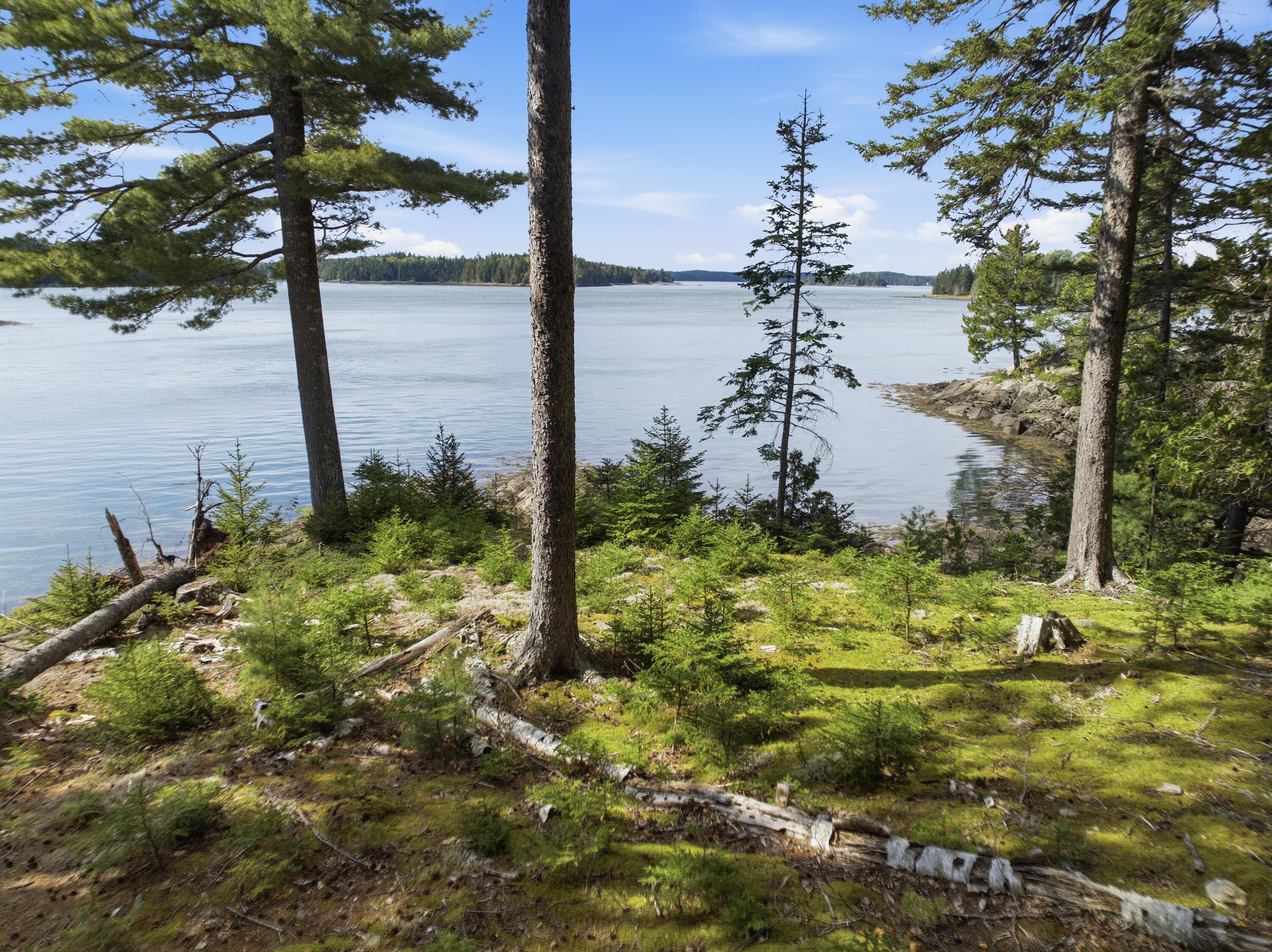 254 Coffins Neck Road Lubec, ME 04652 - Photo 29 of 33 254 Coffins Neck Road