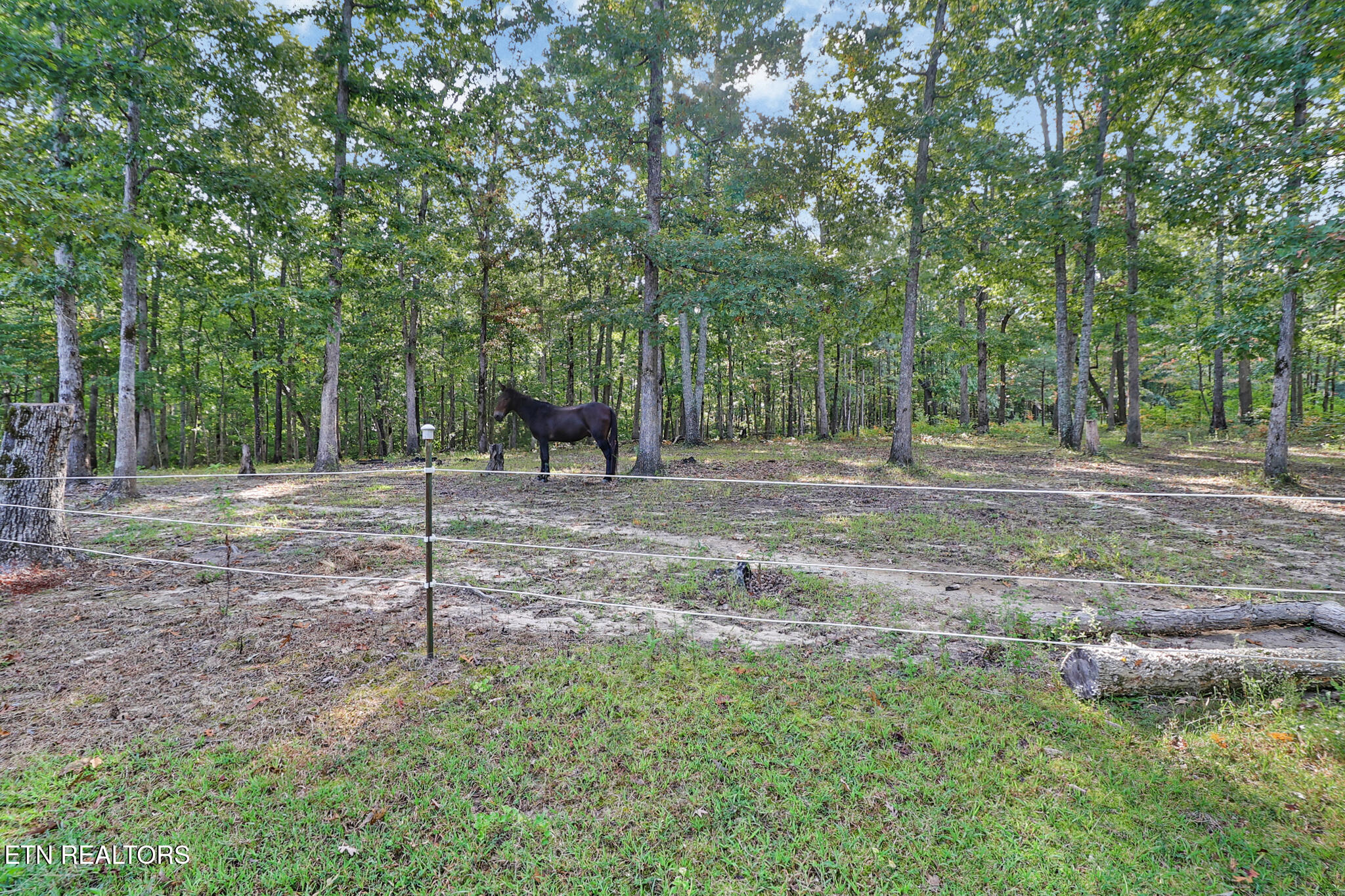 1222 Leffle Webb Road Crossville, TN 38572 - Photo 33 of 42 n44a7781-n44a7785
